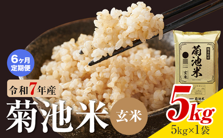 【6ヶ月定期便】熊本県産 菊池米 玄米 5kg 1袋5kg 米 お米 令和7年産 九州産 熊本県産 送料無料《お申込み翌月に出荷予定》玄米 米