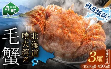 【訳あり】北海道・噴火湾産冷凍ボイル毛ガニ約300g前後×3尾 新物 2025年6月～7月水揚げ 毛ガニ 毛カニ 蟹 かに かにみそ 海産物 海鮮 森町 mr1-1046
