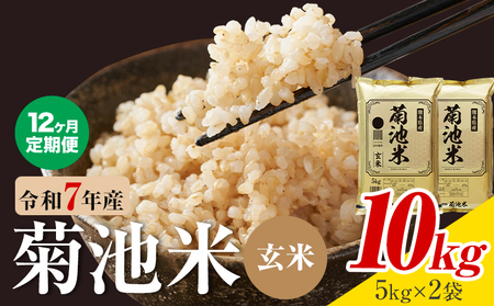 【12ヶ月定期便】熊本県産 菊池米 玄米 10kg 1袋5kg 米 お米 令和7年産 九州産 熊本県産 送料無料《お申込み翌月に出荷予定》玄米 米
