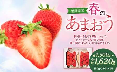 春のあまおう （2L・2A・G規格以上 6パック） 合計約1.5～1.62kg 【数量限定】 【2027年3月上旬～4月下旬発送予定】  あまおう 苺 いちご 果物 果実 フルーツ 国産 九州 福岡県 香春町 冷蔵