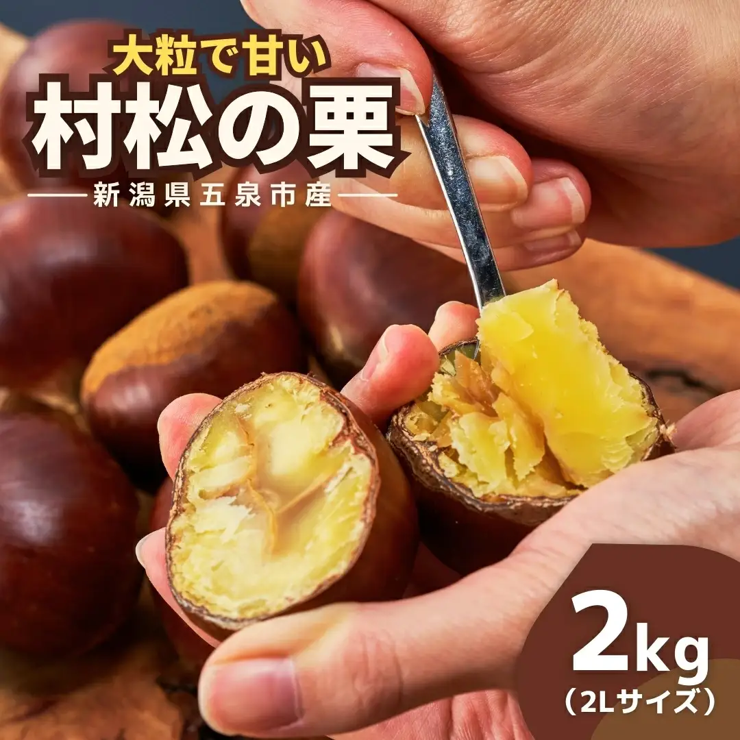 【先行予約】くり 越後村松の栗（2Lサイズ 2kg）| 新潟県 五泉市 くり 栗