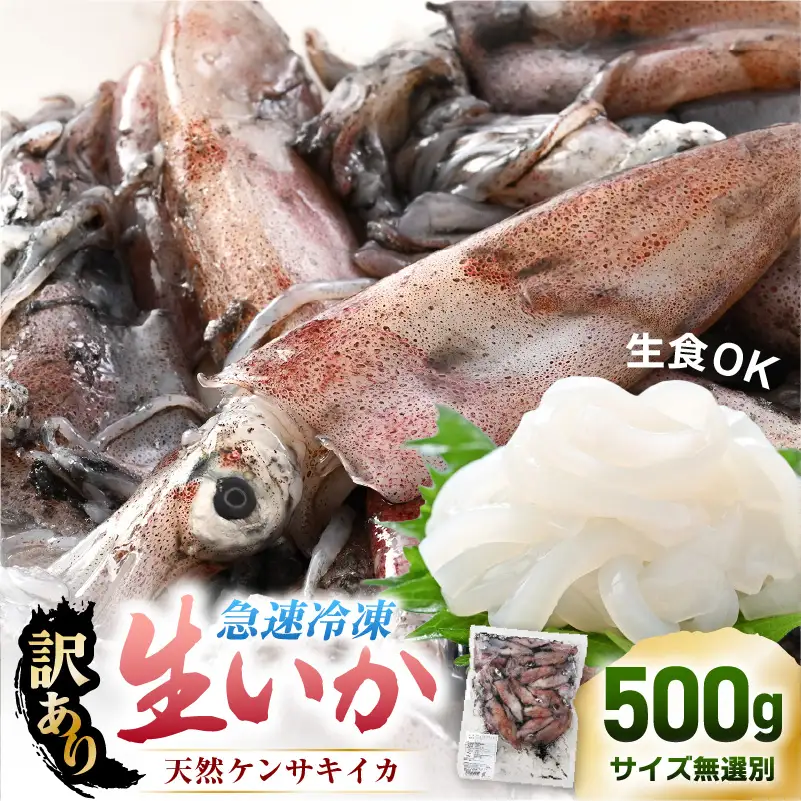 【急速冷凍】【訳あり】生いか 天然ケンサキイカ サイズ無選別 500g 定置網漁 皮むけ・サイズ不揃い【剣先いか 生イカ いか 白イカ いかめし いか焼き 姿焼き げそ 煮付け 海鮮 鮮魚 おつまみ】 [e15-a061]