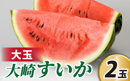 ＜2026年収穫分 先行予約＞大崎すいか 1箱（大2玉入り）| すいか 甘い