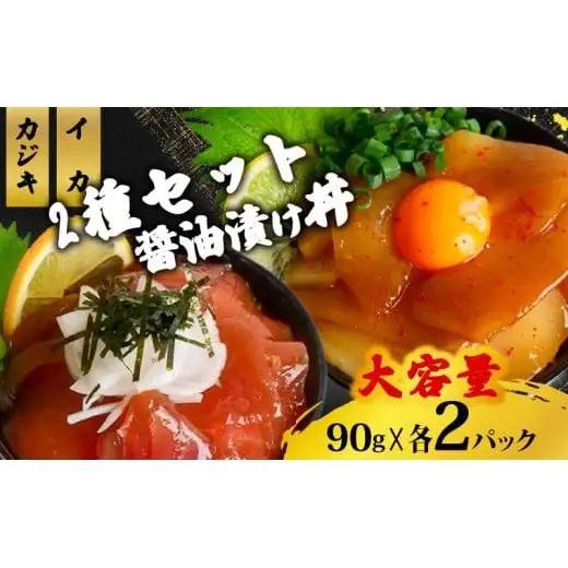 2種 醤油 漬け丼 90g×各2パック カジキマグロ イカ