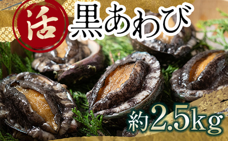 中泊直送 天然 ”活” 黒あわび 約2.5kg 【卓立水産】 F6N-032