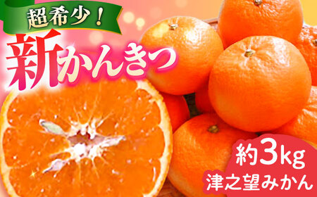 【2027年1月先行予約】【家庭用】津之望 約3kg[ECL008] 新柑橘 新しい柑橘 みかん
