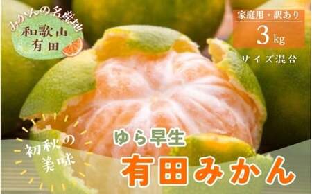【初秋の美味】有田育ちのご家庭用ゆら早生有田みかん　約3kg+200g(傷み補償分)【サイズ混合】【2026年10月中旬～11月上旬頃に順次発送予定】【ard236A】