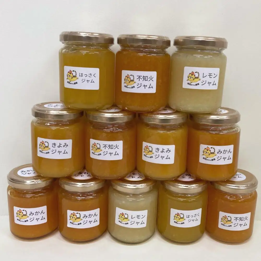 ［2026年3月以降順次発送］数量限定！店主にお任せ 無添加 柑橘ジャム140g×3個