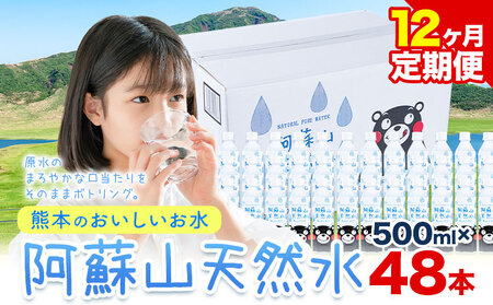 【12ヶ月定期便】水 熊本 の おいしい お水 阿蘇山 天然水数 500ml×48本 2ケース 丸富産業《お申し込みの翌月から出荷開始》熊本県 御船町 水 天然水 みず 熊本 飲料 熊本県 ミネラルウォーター