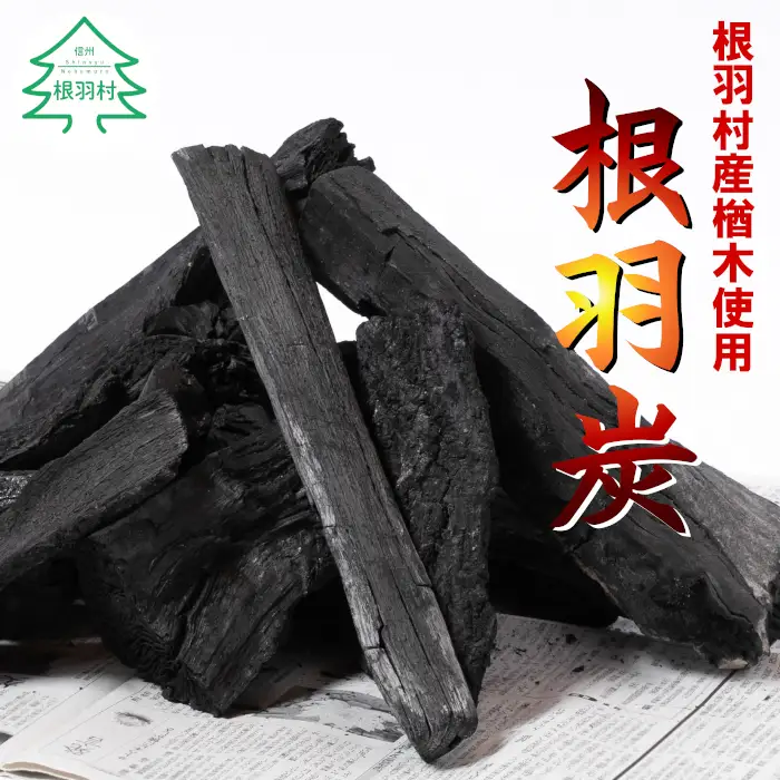 パワフルな火力と火持ちの良さ　南信州根羽産 こだわりの炭 3kg×1袋