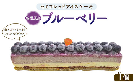 セミフレッドアイスケーキ　相模原産ブルーベリー