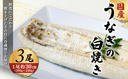 ＜凍らさず美味しさそのまま！〆たて・焼きたてを冷”蔵”で発送＞地元飲食店に愛される美味さにこだわった 国産うなぎの白焼き (3尾) ふるさと納税 福知山市 特上 うなぎ 蒲焼 ウナギ 鰻蒲焼き うなぎ蒲焼き 白焼き 3尾 人気 国産 浜名湖 関西 鰻蒲焼 養殖 冷蔵 ギフト ご褒美 京都 【fc-ZF002-C】【由良川漁業協同組合】