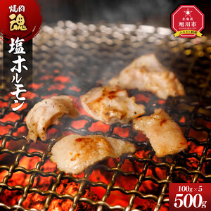 焼肉　魂　塩ホルモン100g×5  ｜ ホルモン _04954