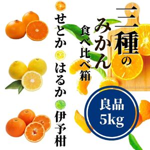  《2027年2月上旬頃から順次発送》【三種のみかん食べ比べ箱】 せとか・はるか・宮内伊予柑 （良品）5kg | 愛媛 みかん 蜜柑 柑橘 果物 くだもの フルーツ お取り寄せ グルメ 期間限定 数量限定 人気 おすすめ 愛媛県 松山市【PT0051】