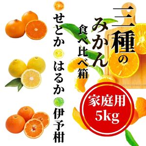 《2027年2月頃から順次発送》【三種のみかん食べ比べ箱】せとか・はるか・宮内伊予柑 （家庭用）5kg | 愛媛 みかん 蜜柑 柑橘 果物 くだもの フルーツ お取り寄せ グルメ 期間限定 数量限定 人気 おすすめ 愛媛県 松山市 【PT0201】