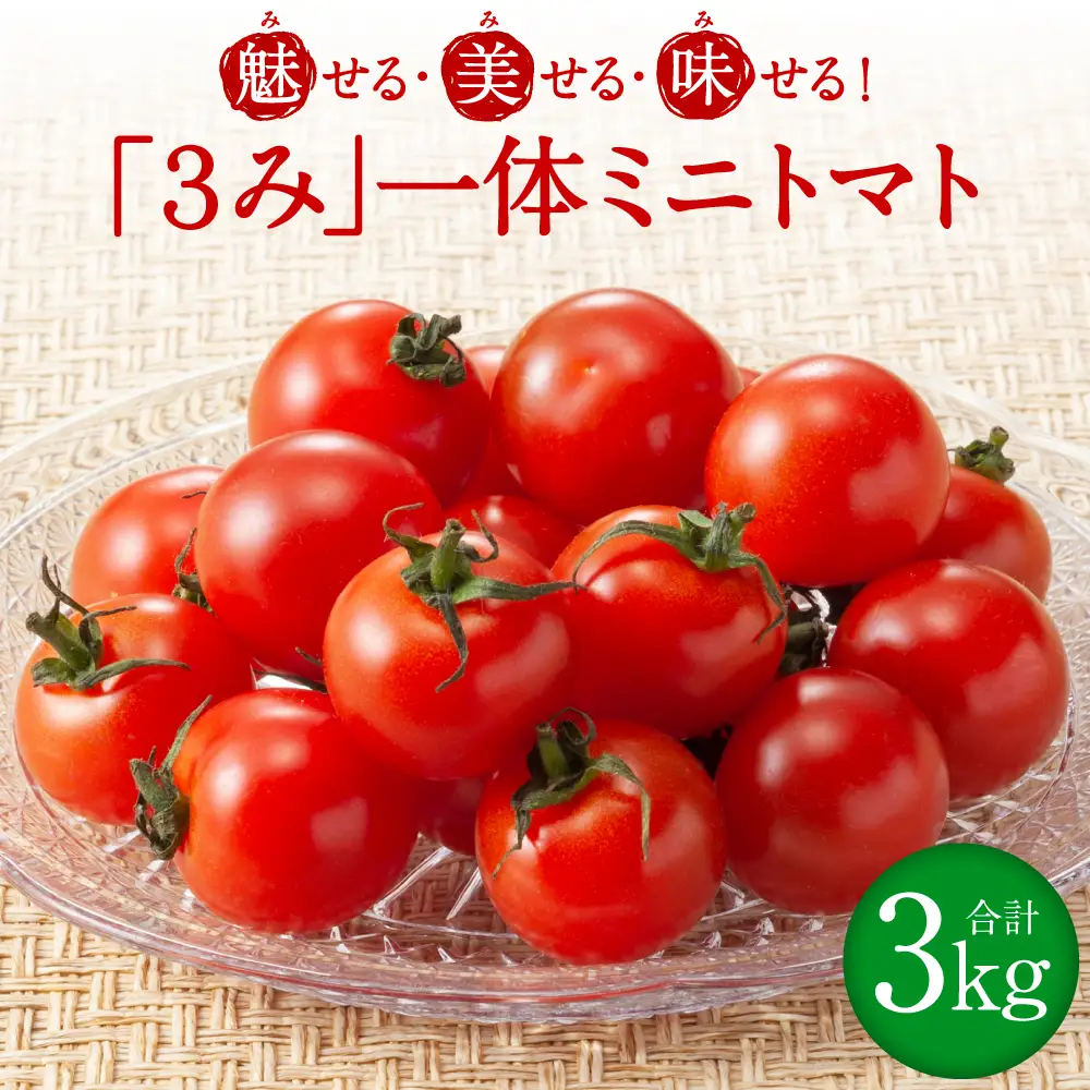 魅せる・美せる・味せる！「３み」一体ミニトマト！ 八代市産 トマト ミニトマト 約3kg 野菜 とまと 熊本県 八代市