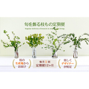 674.【月1回・12ヶ月定期便】旬をかざる枝もの定期便（年12回）＋初回ガラスベース付き