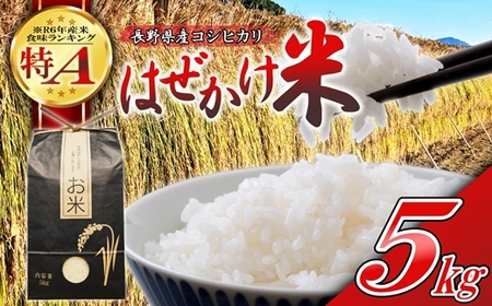 【令和7年産・白米５kg】長野県産こしひかり はぜかけ米（北海道・沖縄県・離島は配送不可）精米 産地直送 信州 長野県 佐久市 美味しいうるち米