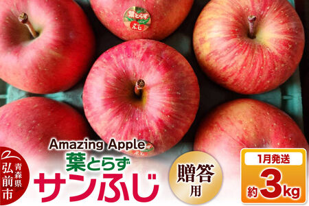 【27年1月発送】りんご 葉とらずサンふじ【贈答用】約3kg