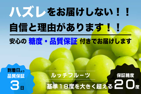 【2026年発送★先行予約】【全房糖度20度保証付】シャインマスカット 約1.1kg 2～3房/日テレ「ZIP!」TBS「ひるおび」にて紹介！美味しいフルーツだけをお届け【ルッチ Rucci】産地直送 山梨県 笛吹市 果物 葡萄 ぶどう 贈答 人気 ギフト プレミアム 高級 令和8年 先行予約 104-041-FN