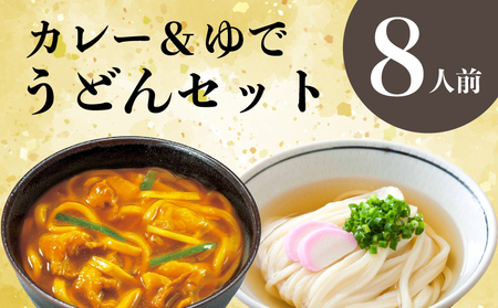 さぬきうどん ＆ カレーうどん セット 8人前 出汁 スープ付き