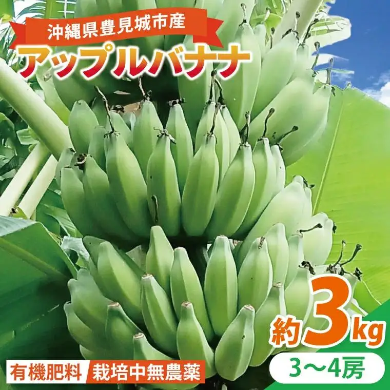 アップルバナナ 約3kg