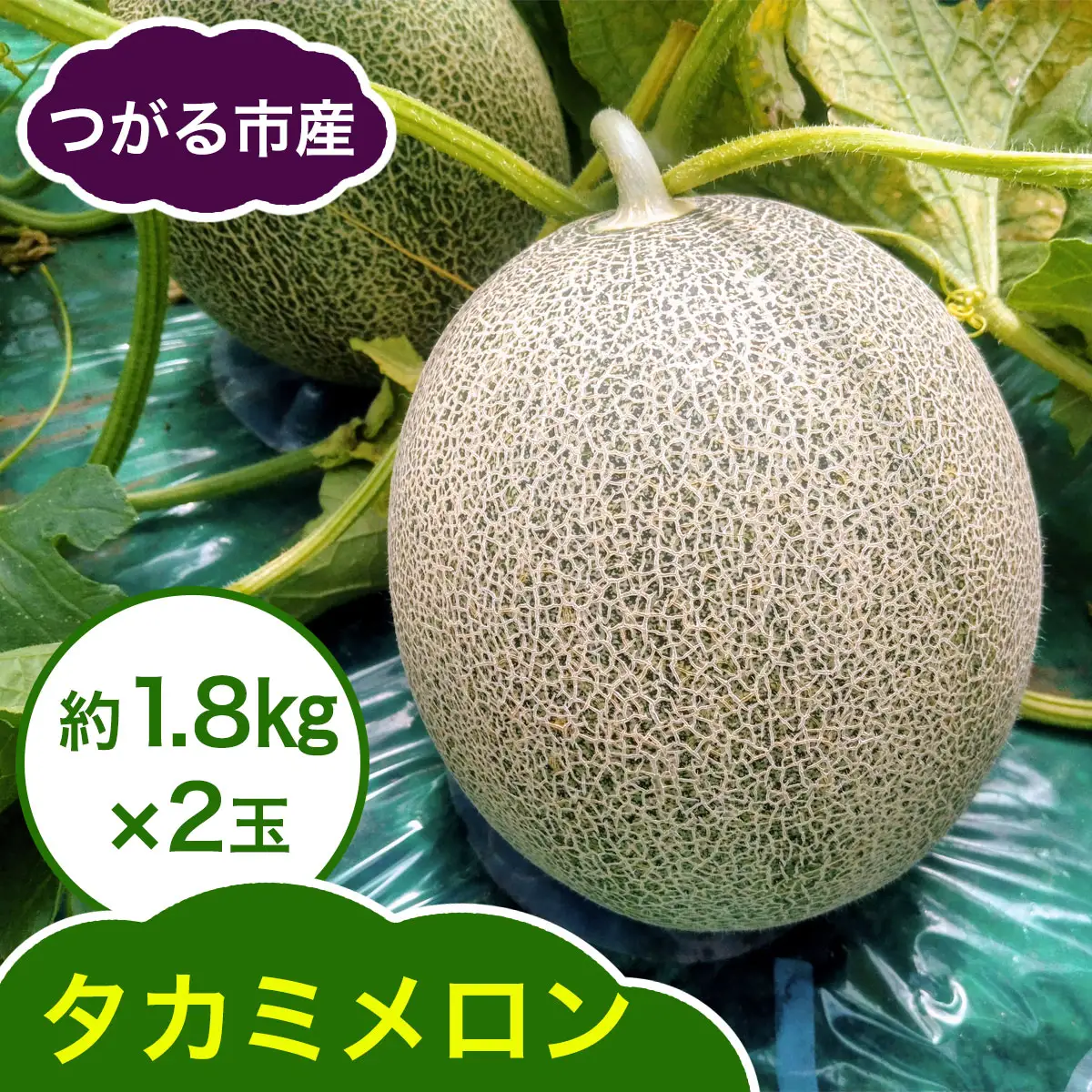タカミ メロン 約1.8kg×2玉 [0858]