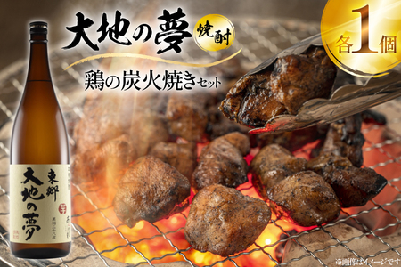 焼酎 鶏の炭火焼きと大地の夢のセット 1つずつ 晩酌セット [日向市観光協会 宮崎県 日向市 452061432]