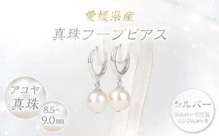 真珠 フープピアス 8.5～9.0mm 大珠 シルバー パール アクセサリー （859-1）