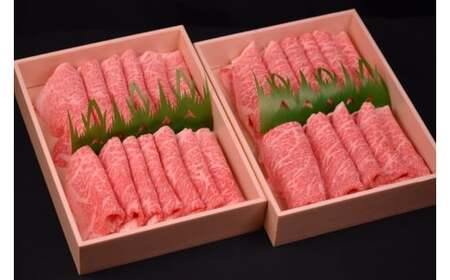 Y849 【12か月定期便】鳥取和牛赤身すき焼きしゃぶしゃぶ用1kg（500g×2） 