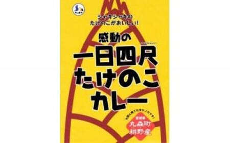 【丸森町特産】 たけのこカレー5個【08109】