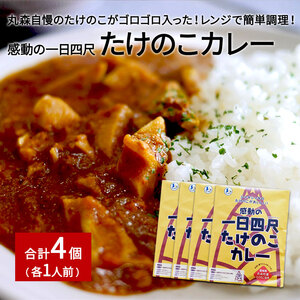 たけのこカレー1人前×4個セット【0802201】