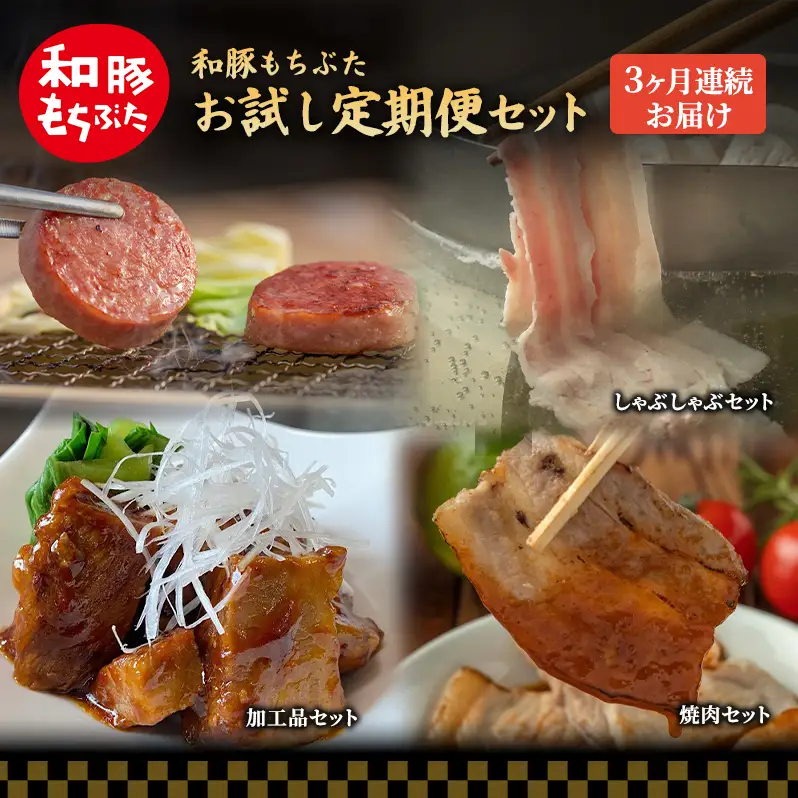【定期便3回】和豚 もちぶた お試しセット 3ヶ月連続 ソーセージ 角煮 豚肉