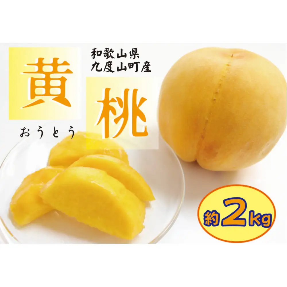 和歌山の黄桃(黄貴妃) 約2kg 【濃厚】 先行予約【9月上旬～中旬発送】