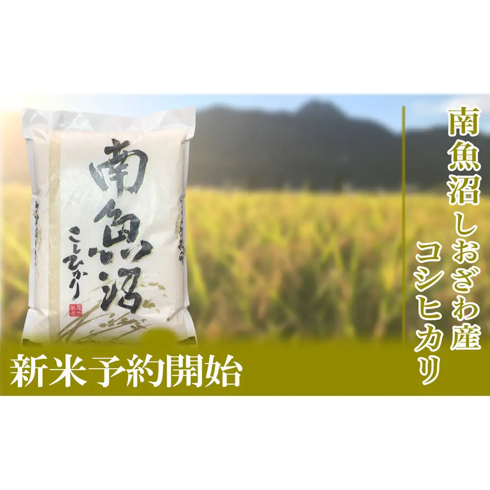 【令和8年産　新米予約】定期便／２kg×3ヶ月 生産者限定 南魚沼しおざわ産コシヒカリ【定期便 銘柄米 ブランド米 精米 こしひかり コシヒカリ 魚沼産 新潟米 ごはん】【2026年10月上旬から1ヶ月以内に順次発送予定】