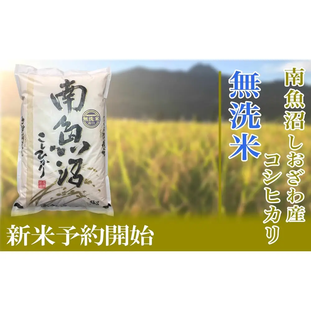 【令和8年産　新米予約】定期便６ヶ月【無洗米】2kg南魚沼しおざわ産コシヒカリ【定期便 銘柄米 ブランド米 無洗米 こしひかり コシヒカリ 魚沼産 新潟米 ごはん】【2026年10月上旬から1ヶ月以内に順次発送予定】