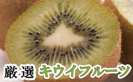 厳選 キウイ5kg+250g（傷み補償分）【扁平果】  / 和歌山 フルーツ 果物 くだもの ※2026年11月中旬より2027年4月下旬頃順次発送予定 ※北海道・沖縄・離島配送不可 【ikd711A】
