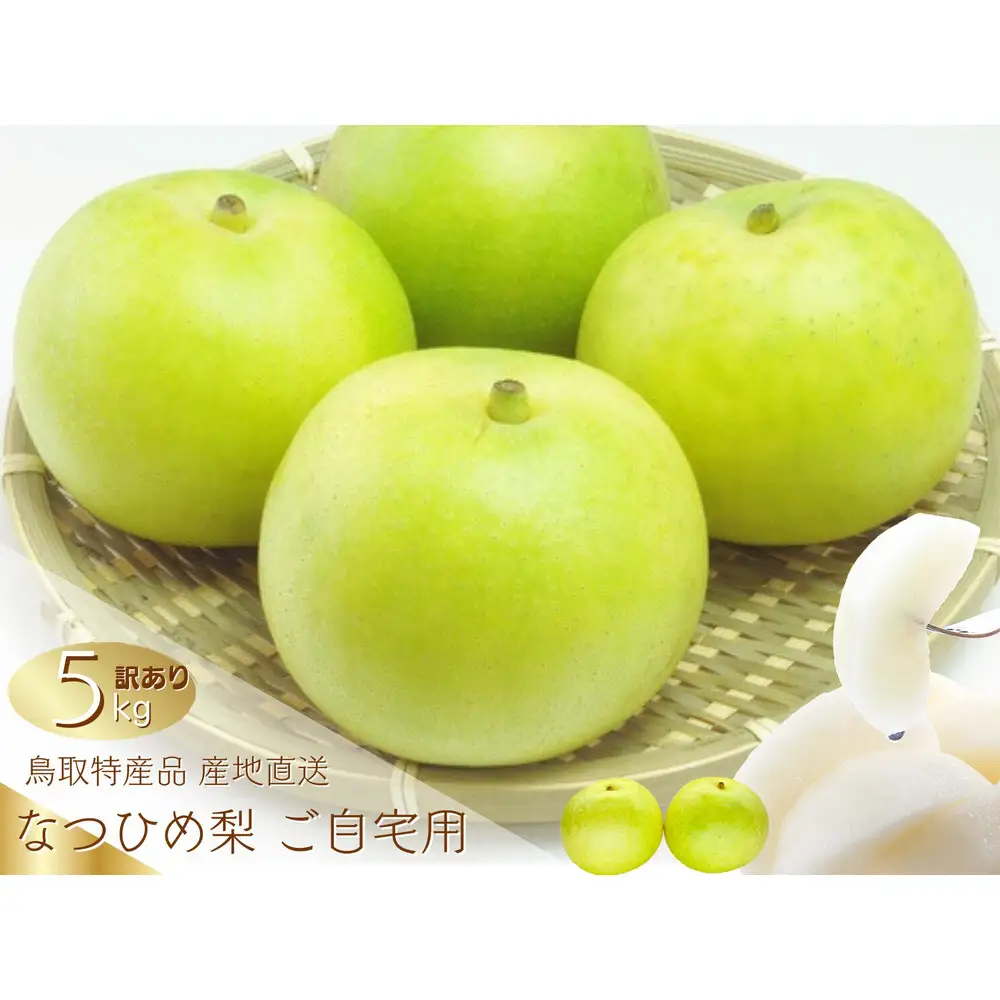 数量限定 鳥取県産 梨 訳あり ご自宅用 なつひめ 5kg|梨 なし