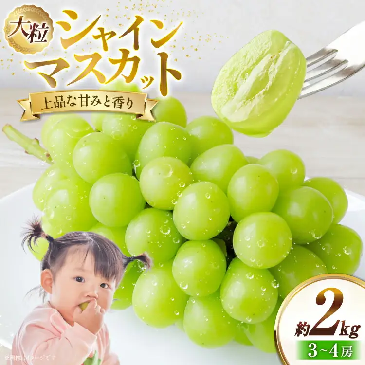 【期間限定発送】 シャインマスカット 約2kg 3?4房 [冨樫商店 山形県 高畠町 tk06ayt290002]