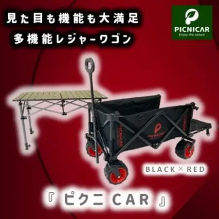 ピクニCAR BLACK×RED 1台　黒天板　フルセット【1323413】