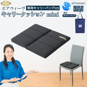 ★TBSテレビ系列「ひるおび」で取り上げられました！★ エアウィーヴ キャリークッションmini