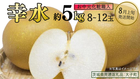 【 お中元 化粧箱入り】 幸水 約5kg (8～12玉)【2026年8月上旬発送開始】(茨城県共通返礼品：大子町)