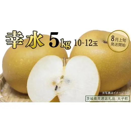 幸水 約5kg (10～12玉)【2026年8月上旬発送開始】(茨城県共通返礼品：大子町)
