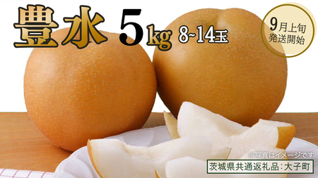 豊水 約5kg (8～14玉)【2026年9月上旬発送開始】(茨城県共通返礼品：大子町)