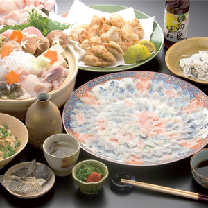 活とらふぐ本格セット フグ 刺身 唐揚げ トラフグ ふぐ飯 ふぐのフルコース 本格的 ふぐ鍋 てっさ てっちり ふぐちり ふぐ刺し 本皮刺し 冷蔵 宮崎県延岡市 送料無料 N013-YZF002