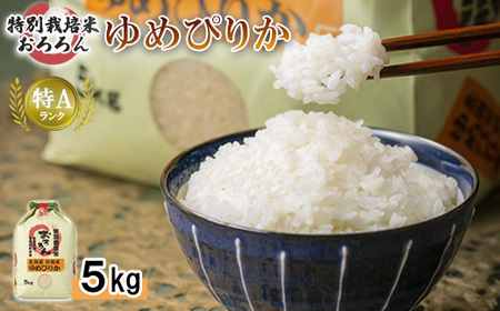 【2025年産】 北海道羽幌産 特別栽培米 ゆめぴりか5kg【0811602】