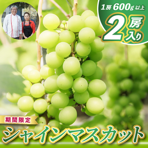 【先行予約】 シャインマスカット 2房 (大粒600g以上/房) 