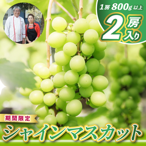 【先行予約】 シャインマスカット 2房 (大粒800g以上/房) 