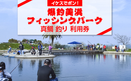 【イケスでポン！】爆釣 美浜フィッシングパーク 真鯛・クロソイ 釣り 体験 チケット ｜ 海釣り 釣り堀 釣堀 旅行 アクティビティ アウトドア スポーツ ギフト券 券 体験チケット 釣り竿 釣竿 竿 釣り餌 レンタル 釣 愛知県 美浜町 知多半島