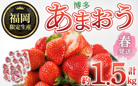 ＜先行予約受付中！2027年2月上旬以降に順次発送予定＞ 博多あまおう・春 (計約1.5kg) いちご 苺 フルーツ 果物 くだもの 福岡限定 家庭用 冷蔵＜離島配送不可＞【ksg1741】【農産物直売所ほたるの里】